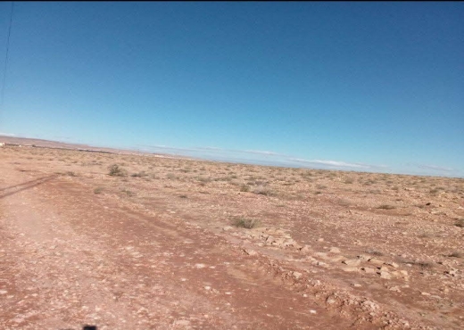 A VENDRE - TERRAIN - Bien immobilier à {"id":18,"country_id":219,"name":"SIDI BOUZID","slug":"sidi-bouzid"} - Agence Accord Immobilier