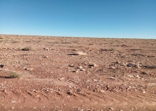 A VENDRE - TERRAIN - Bien immobilier à {"id":18,"country_id":219,"name":"SIDI BOUZID","slug":"sidi-bouzid"} - Image 3 - Agence Immobilière New Way