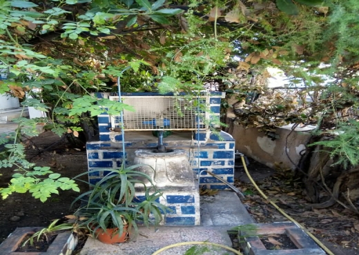 A vendre villa à renover Mutuelle ville - Bien immobilier à {"id":23,"country_id":219,"name":"TUNIS","slug":"tunis"} - Image 2 - Agence Immobilière New Way