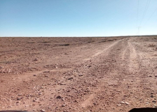 A VENDRE - TERRAIN - Bien immobilier à {"id":18,"country_id":219,"name":"SIDI BOUZID","slug":"sidi-bouzid"} - Image 2 - Agence Immobilière New Way