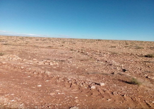 A VENDRE - TERRAIN - Bien immobilier à {"id":18,"country_id":219,"name":"SIDI BOUZID","slug":"sidi-bouzid"} - Image 4 - Agence Immobilière New Way